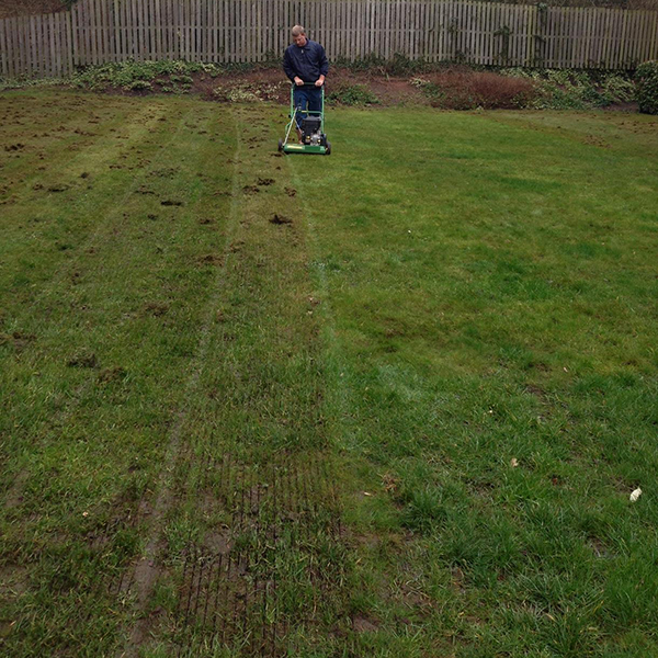 lawn scarification