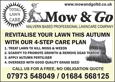 Autumn Lawn care plan