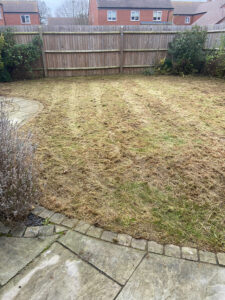lawn mown by mow and go - After